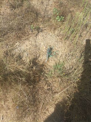 Parcela rústica con agua de pozo(negociable)