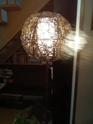 Lote Lámparas Techo y Pie