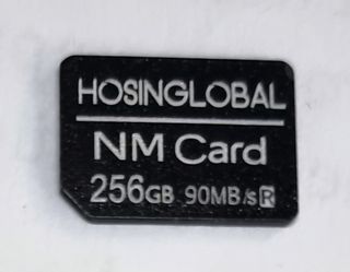 HOSINGGLOBAL NM Card 256GB 90MB/s