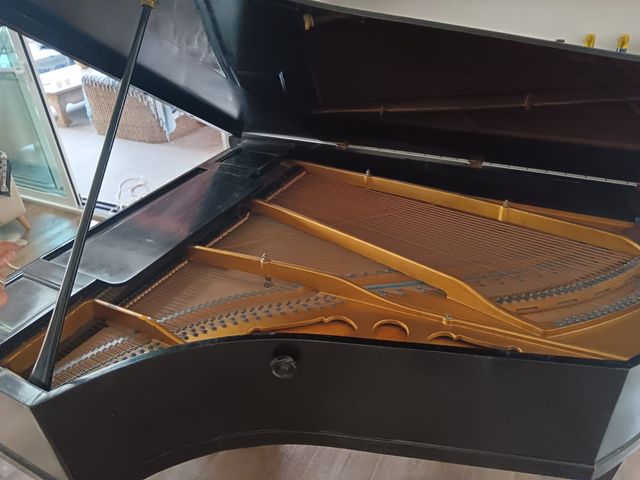 Piano Rönisch negro