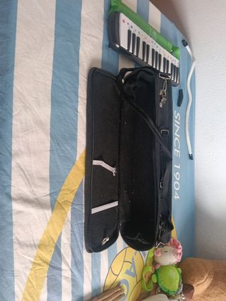 Melódica Hohner con funda