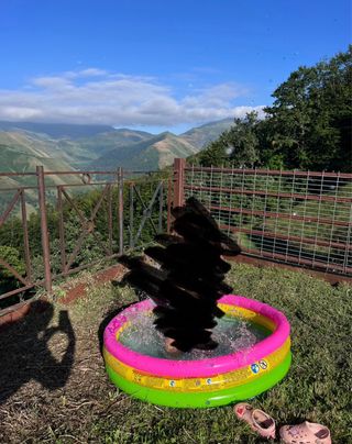 Piscina hinchable Intex multicolor