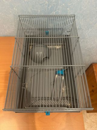 Jaula hámster con iglú y bebedero