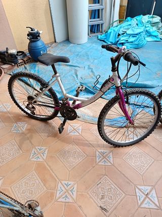3 Bicicletas: 2 Adulto y 1 Niña