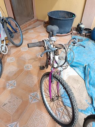 3 Bicicletas: 2 Adulto y 1 Niña