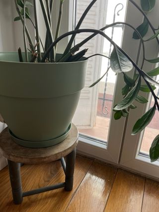 Tavoli sagomati/supporti per piante in cemento e legno