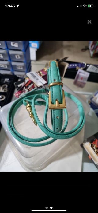 Collar y Correa para Perro Pequeño Turquesa