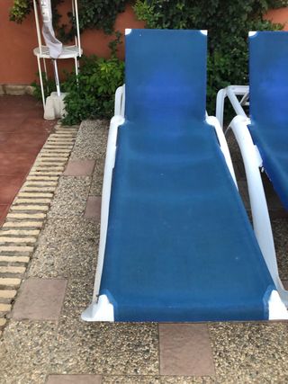 Amache da giardino blu (4 unità)