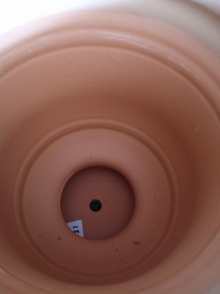 Maceta de copa de terracota