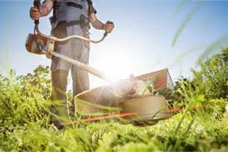 Jardineros Profesionales
