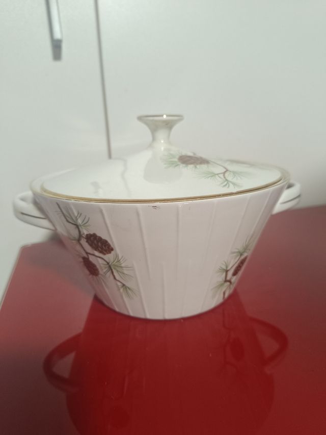 Sopera de cerámica con piñas