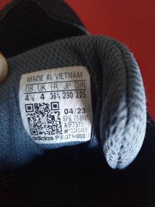 Adidas Terrex Trekking Zapatillas