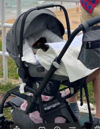 Bugaboo Bee 6 completo