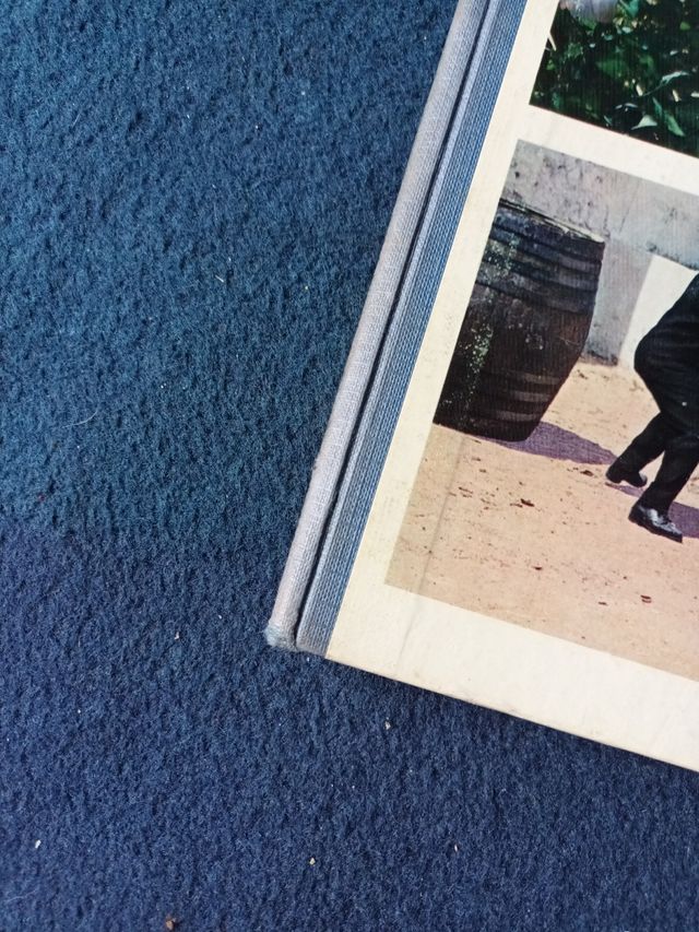 Tintin y las naranjas azules