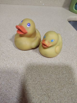 Lote Juguetes Baño con bolsa para recogerlos