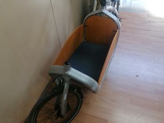 Bicicleta de carga eléctrica TRIO