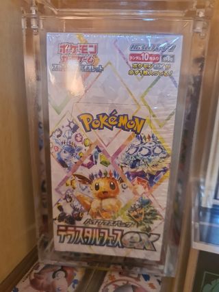 Pokémon TCG Terastal Festival EX