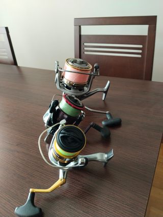 2 Cañas de Pescar Daiwa Proteus + 3 Carretes