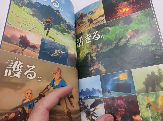 The Legend of Zelda: Breath of the Wild Limited