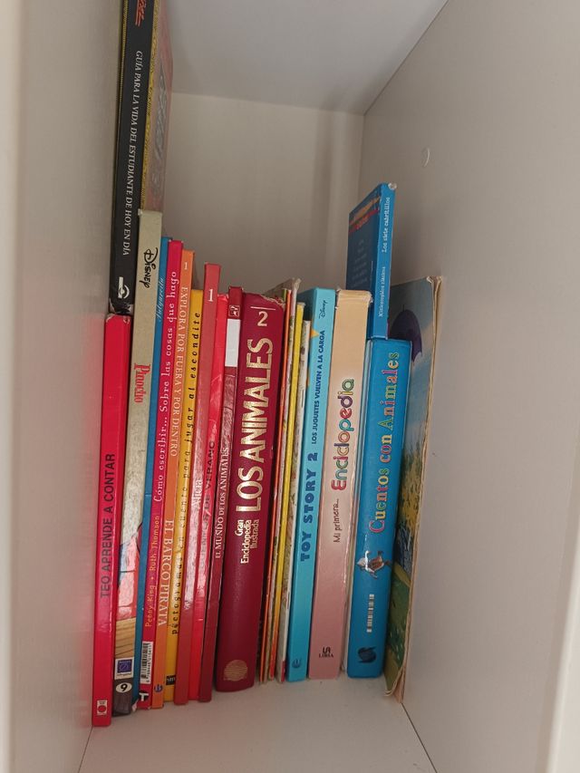 Libros y Cuentos Varios