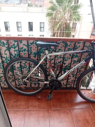 Bicicleta Decathlon Montaña