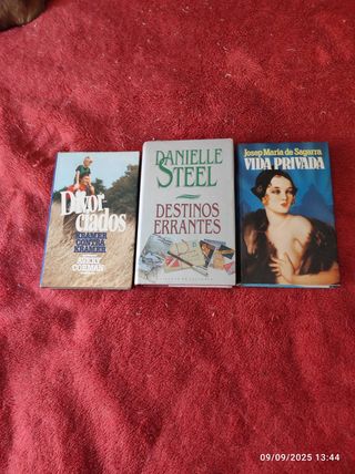 Lote 3 Libros Romance Español