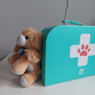 Set de veterinario infantil +3 años
