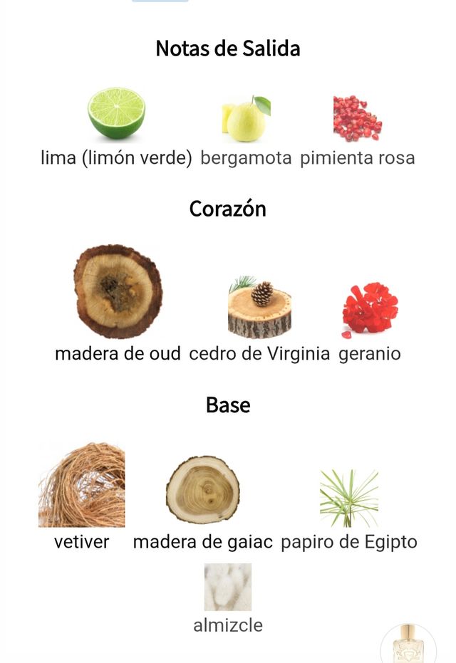 Parfums de Marly - Saghya - 125 ml