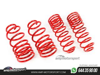 MUELLES DEPORTIVOS MTS TECHNIK MTSXTO116