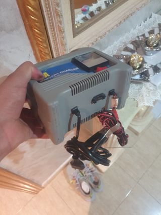 Cargador de Batería 12V 20-80Ah