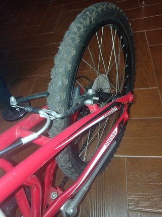 Bicicleta Montaña Niño Free Rider 20