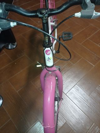 20 bici da ragazza con cestino