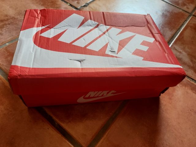 Zapatillas Nike Tn Azules y Rojas