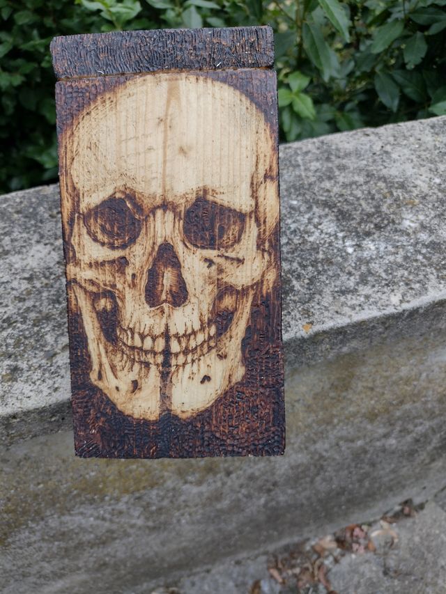 Pirografia Teschio su Legno