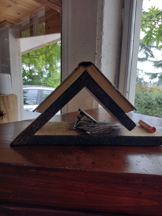 Pirografia Teschio su Legno