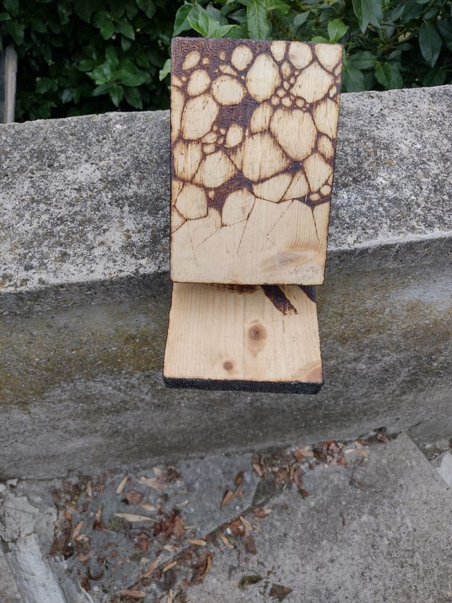 Pirografia Teschio su Legno