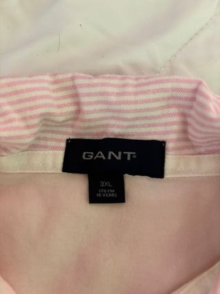 Camisa GANT Rosa