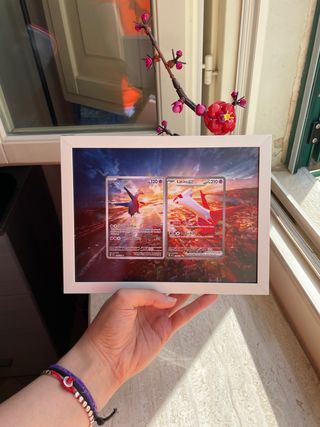 Cornice Latios e Latias Grafica Estesa