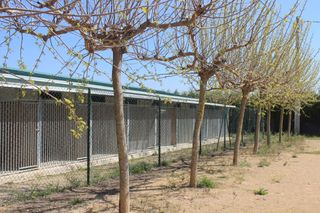 Nave Residencia Canina 