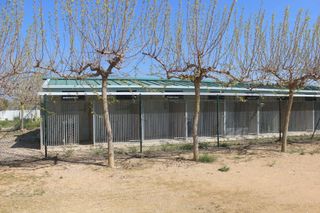 Nave Residencia Canina 