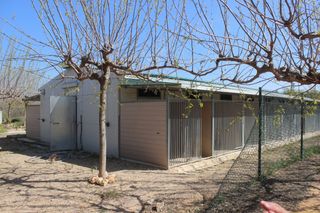 Nave Residencia Canina 