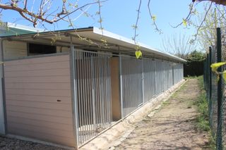 Nave Residencia Canina 