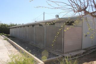 Nave Residencia Canina 