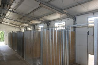 Nave Residencia Canina 