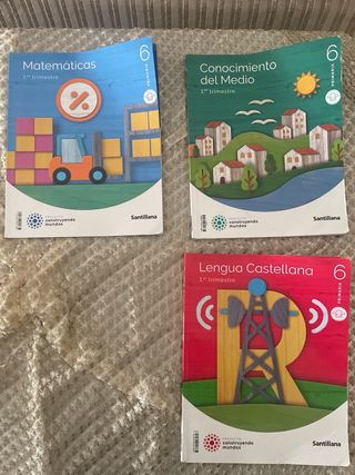 Libros de 6 primaria