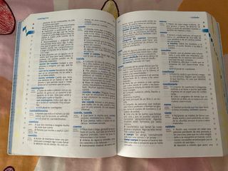 Diccionario de Primaria. Lengua española