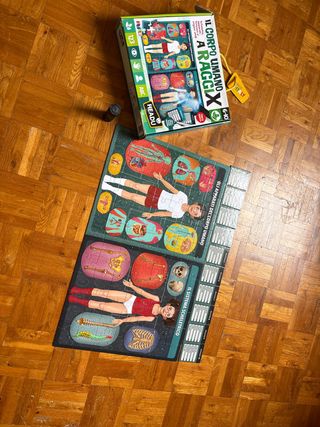 Gioco educativo Headu Corpo Umano