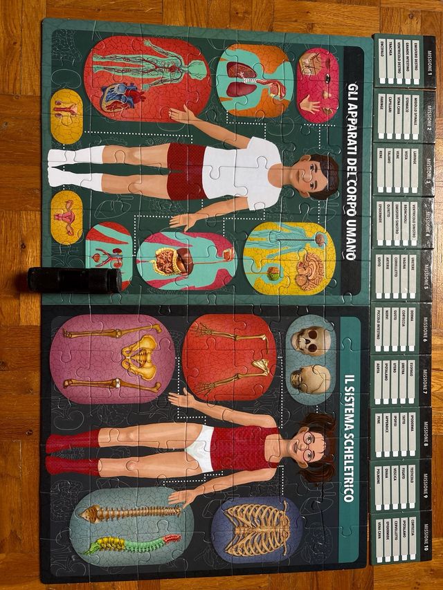 Gioco educativo Headu Corpo Umano