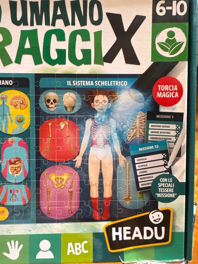 Gioco educativo Headu Corpo Umano