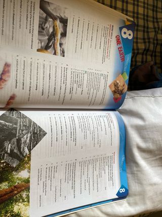 worbook 1bach en català